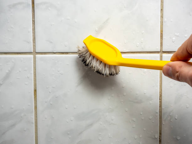 Roosevelt Park, MI Mold Removal Company