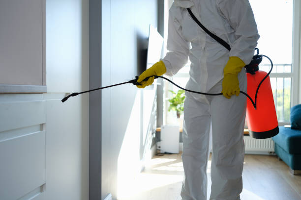 Best Toxic Mold Removal  in Roosevelt Park, MI