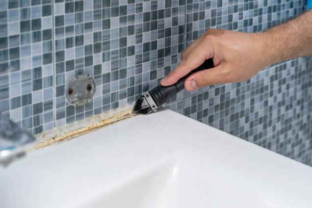 Best Mold Testing  in Roosevelt Park, MI